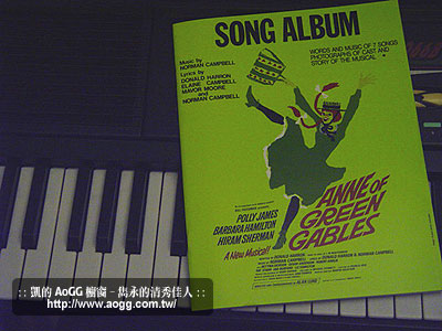 夏洛鎮音樂節紀念書